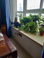 -思巧美容养生馆