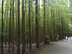 -山王坪喀斯特国家生态公园
