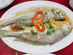 清蒸黄花鱼-蛇口康乐快餐鱼仔档(翠苑小区店)