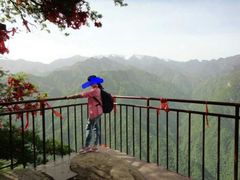 android_upload_pic-陕西省红河谷森林公园