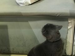 -小时光咖啡馆(开森度假森林店)