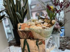 -蝶舍·MAISON PAPILLON