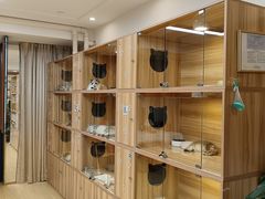 -猫十亿·布偶金渐层·曼基康矮脚猫舍(青年路店)