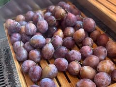 -牛New寿喜烧(金鹰世界店)