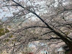 -杭州少年儿童公园