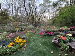 -共青国家森林公园-售票处