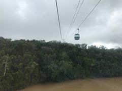 -热带雨林自然公园