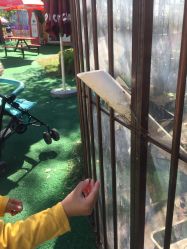 -萌宠亲子动物乐园(槐房万达店)