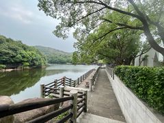-白马涧龙池景区