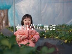 -百果山乐享果玩