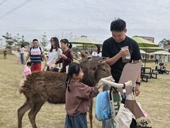 -盈香心动乐园