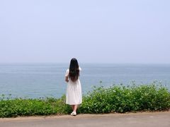 -杨梅坑