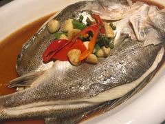 葱烧鲈鱼-绿茶餐厅(乐峰广场店)