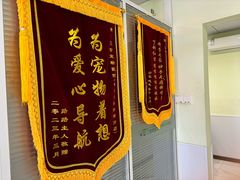 -艾吉宠物医院·疑难杂症转诊中心·猫友好(碧江路院)