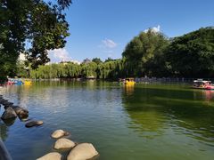 -莲湖公园