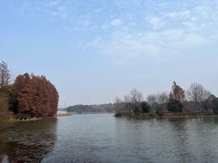 -东湖落雁景区