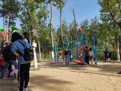 -合肥滨湖国家森林公园