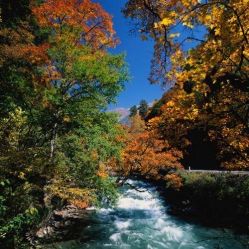 -薇兰专业脱毛连锁机构