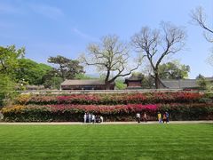 -红螺寺