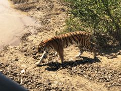 -新疆天山野生动物园