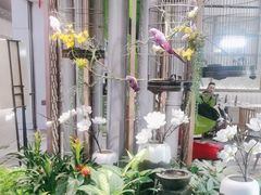 -惠如樓(白云机场T2国际出发店)