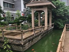 -老幺泉水鸡