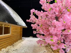 -宁波冰雪大世界(北仑区)