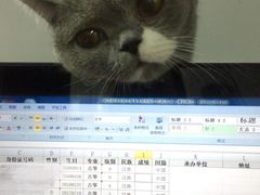 -音乐在线主题氧吧KTV(佳宁娜广场店)