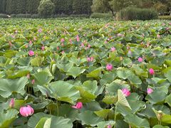 -云龙湖旅游景区