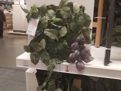 -九锅一堂酸菜鱼(新南凯德直营店)