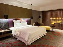 -南京禄口机场雅高铂尔曼大酒店