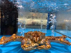 -麦德龙(郑东店)