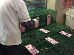 -荔城生鲜盛宴(番禺旗舰店)