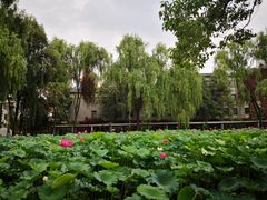 -四川大学(望江校区)