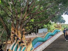 -西双版纳勐泐文化旅游区