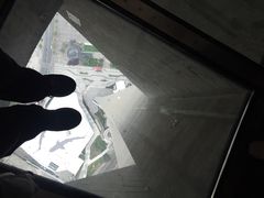 -加拿大国家电视塔