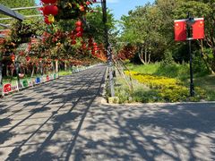 -东平国家森林公园