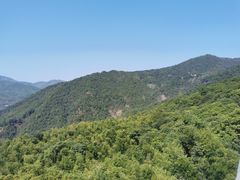 -大余丫山旅游度假区