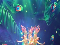 -红舞鞋舞蹈教育(近江校区)