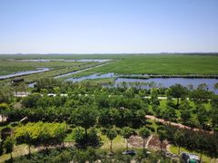 -南大港湿地风景区