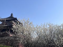 -西安青龙寺遗址景区