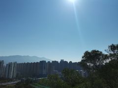 -金鸡山公园
