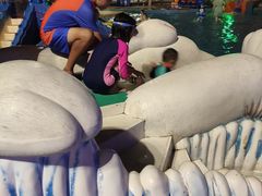 -重庆海昌加勒比海水世界