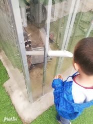 -萌宠亲子动物乐园(槐房万达店)