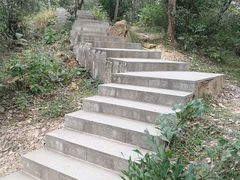 -金鸡山公园