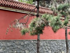 -二一九公园