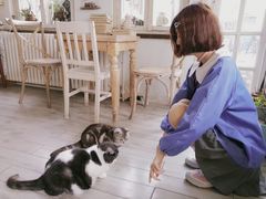 -海边的猫和咖啡馆