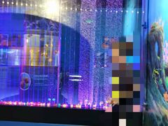 -沙沙哗啦海洋馆(华宇百花谷店)
