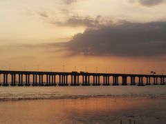 -宝安西湾红树林湿地公园