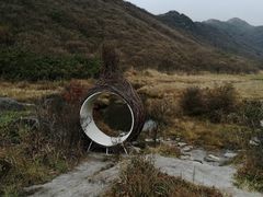 -大围山国家森林公园